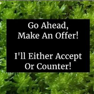 I love saying “YES”!